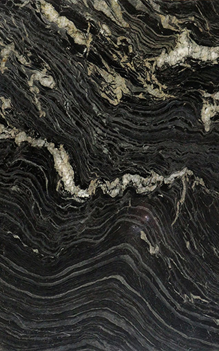 271-318X510_FEATURED-IMAGE-Cambrian-Black